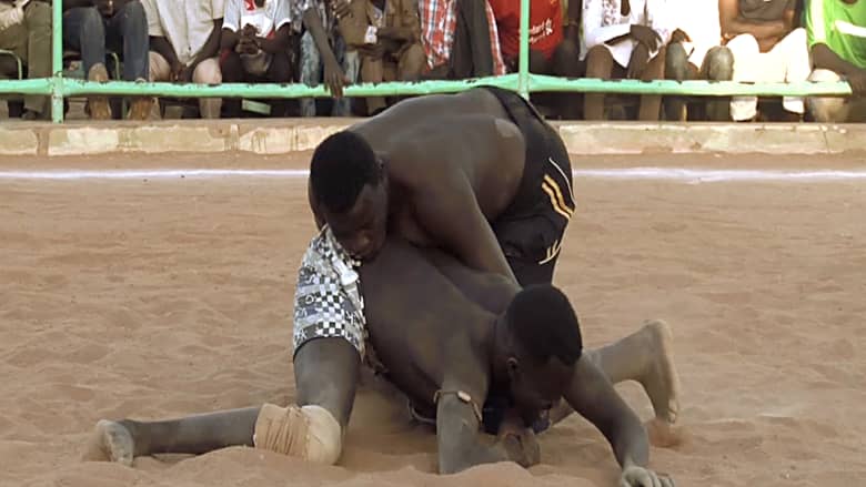 أشبال وفرسان يتواجهون في المصارعة السودانية.. القوة "سلطان أخرس" أمام النساء الجميلات
