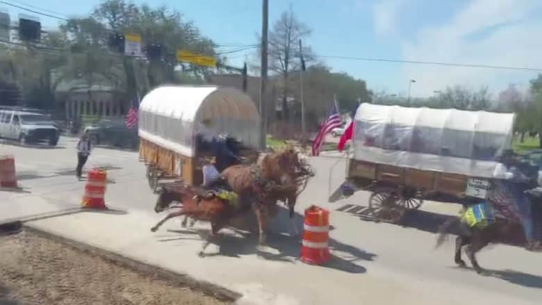 شاهد.. لحظة تصادم مرعب بين عربات تجرها خيول خلال سباق بتكساس 