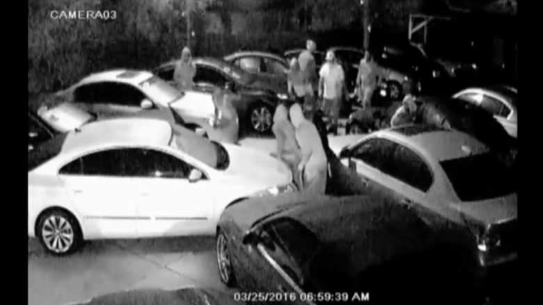 بالفيديو: مجموعة أشخاص يسرقون 8 سيارات دفعة واحدة من شركة بيع للسيارات في فلوريدا