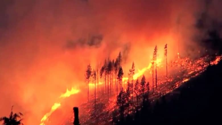 بالفيديو: فرق الدفاع المدني تعمل للسيطرة على حريق هائل في غابات ولاية واشنطن