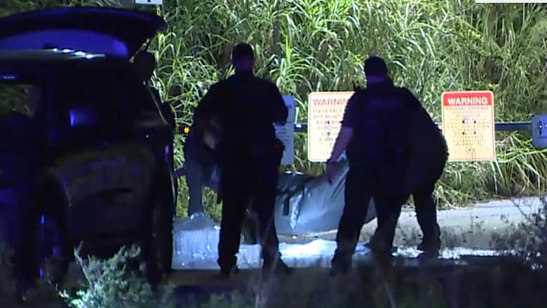 بالفيديو: الشرطة الأمريكية تعثر على بقايا جثة محاطة بالتماسيح