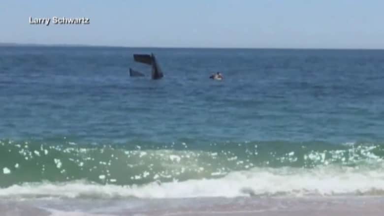 بالفيديو: تحطم طائرة قرب ساحل بلدة أمريكية.. وحراس الشاطئ ينقذون الطيار