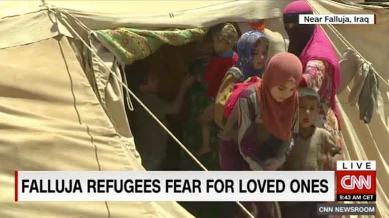بالفيديو: تخلصوا من داعش.. لكن القلق يعتصر أهل الفلوجة على مصير أبنائهم
