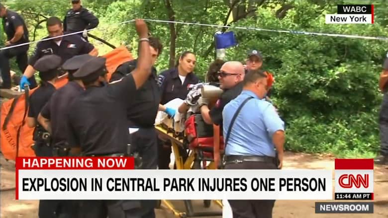 بالفيديو: انفجار في حديقة سنترال بارك في نيويورك