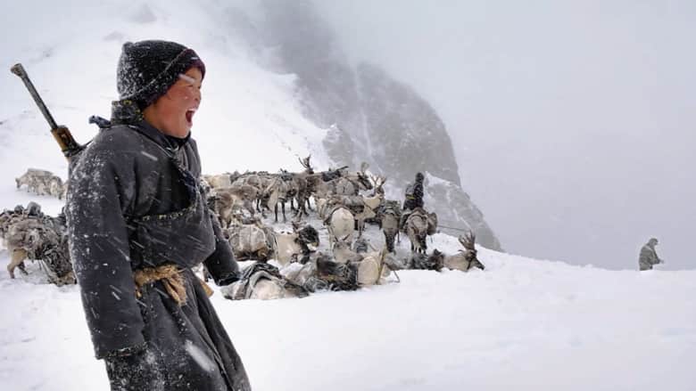 هل تعرف لم ترعى القبائل المنغولية غزلان الرنة؟