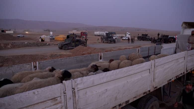 نازحون من الموصل: يكفي النوم دون خوف من الموت