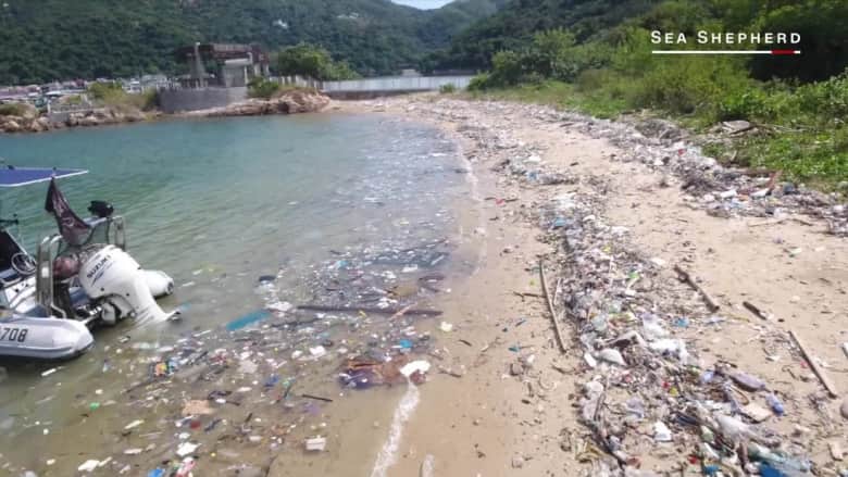 تلوث المحيطات.. كارثة بيئية تهدد الحياة في هونغ كونغ
