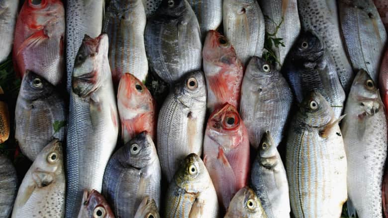 شركة بحرينية توصل سوق السمك إلى باب منزلك
