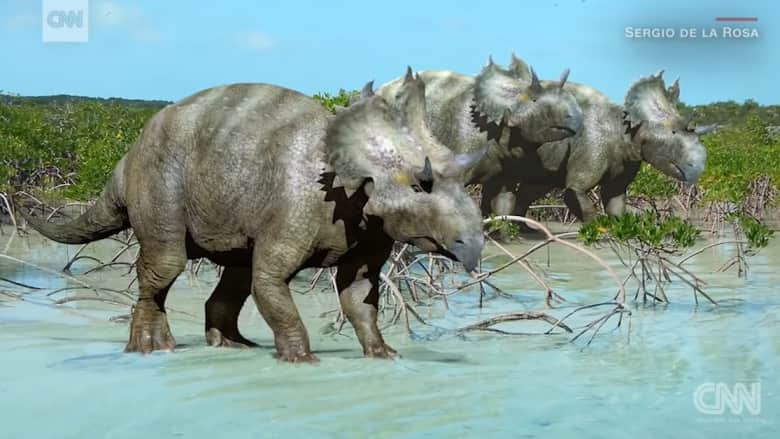 اكتشاف فصيلة جديدة من الديناصورات ذات القرون في المكسيك