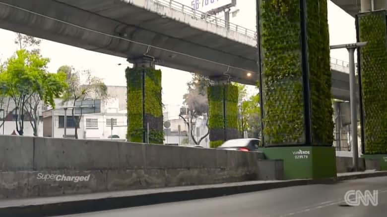هل تصلح هذه التقنية المبتكرة لحل مشكلة التلوث في المدن؟