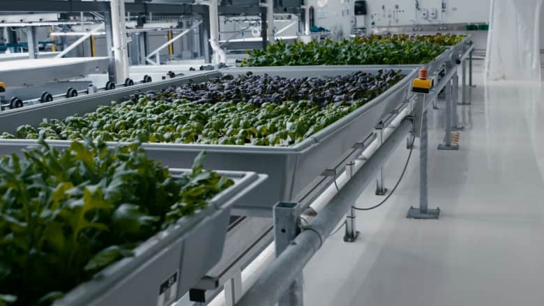 مزرعة آلية.. هل هكذا سنزرع محاصيلنا مستقبلاً؟