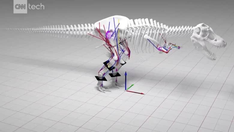 شاهد نموذج المحاكاة.. التيرانوصور العملاق لم يكن قادرا على الركض