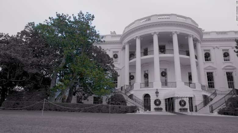 في حديقة البيت الأبيض.. نهاية مأساوية لشجرة عمرها 200 عام