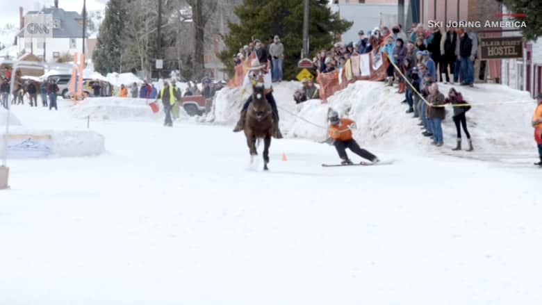 حصان يقود متزلجا في وسط الميدان.. هذه هي رياضة "سكيجورينغ" 