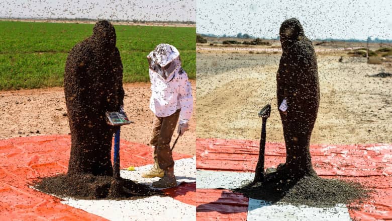 سعودي يغطي رأسه وجسمه بعباءة من النحل.. لدخول "غينيس"