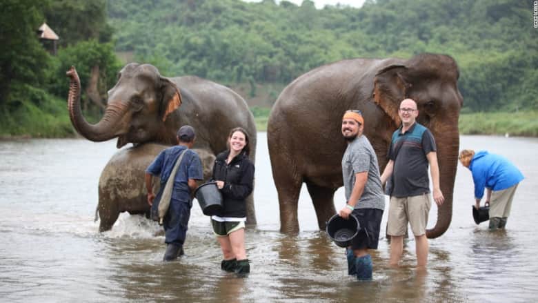 هل هذا "منتجع" الفيلة الأفضل في لاوس؟