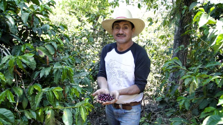 قهوة تُحصد من بركان في غواتيمالا..ومذاقها "سحري"