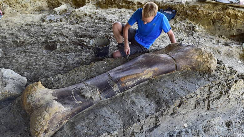 العثور على عظام ديناصور ضخم بفرنسا يبلغ عمرها 140 مليون عام