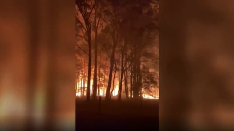 كاميرا توثق لحظة رعب عاشها رجال إطفاء في غابات استراليا ليلا