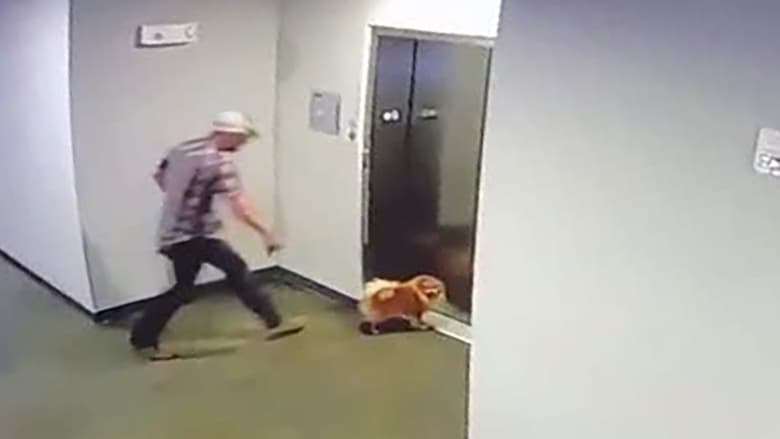 رجل ينقذ كلب جارته قبل أن يسحبه مصعد في تكساس