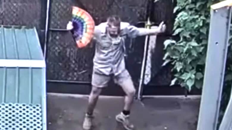 فيديو لرقصة حارس حديقة حيوانات في ظل جائحة فيروس كورونا يجتاح الانترنت
