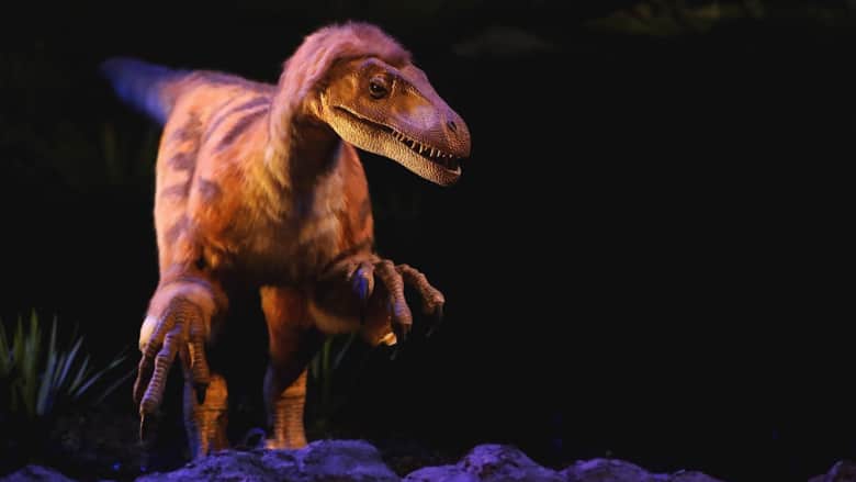 أخطاء وقعت فيها أفلام ‘Jurassic Park’ بشأن الديناصورات.. تعرف عليها