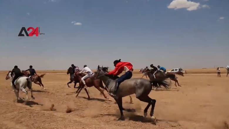 مهرجان الخيول العربية الأصيلة ينطلق في مدينة تل حميس السورية