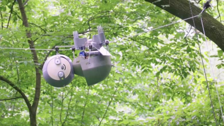 هذا الروبوت “الكسلان” يكافح تغير المناخ.. تعرفوا عليه