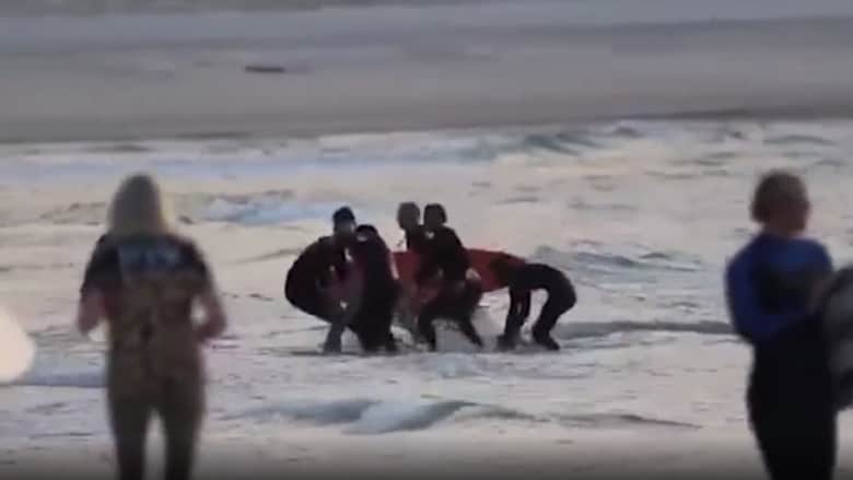 فيديو التقط بالصدفة.. قرش يهاجم راكب أمواج بأستراليا ويقتله بعضة واحدة