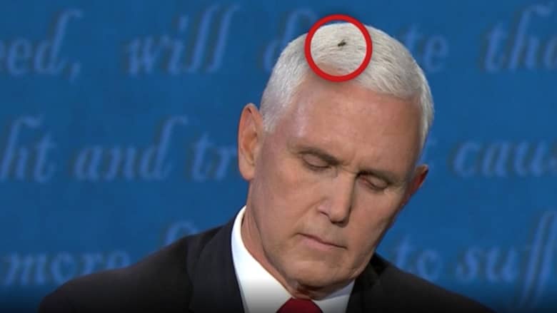 شاهد.. ذبابة على رأس بنس لدقيقتين تخطف الأضواء في مناظرة نائب الرئيس