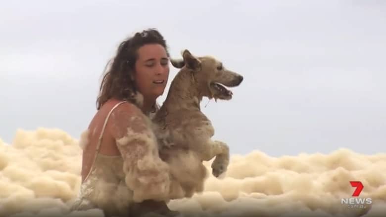 خلال بث مباشر.. شاهد ما حدث لكلبة ابتلعها زبد البحر في أستراليا