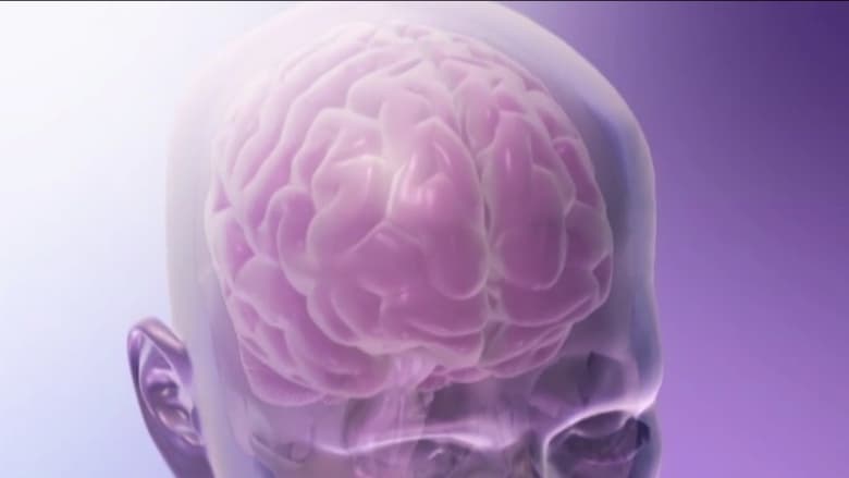 ماذا يحدث أثناء السكتة الدماغية وما هي أنواعها؟