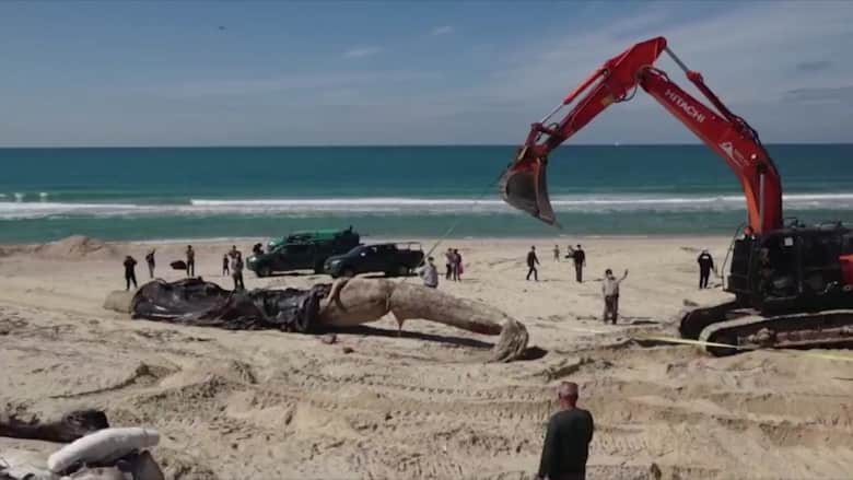 إغلاق شواطئ إسرائيل بعد تسرب نفطي كارثي.. ولبنان يتهم سفينة إسرائيلية