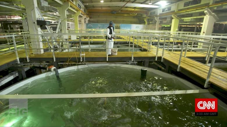 مزرعة للأسماك تحاكي بيئة أي محيط في العالم وسط صحراء دبي