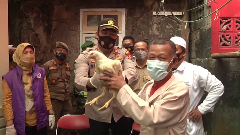 إندونيسيا تشجع الناس لتقلي لقاح فيروس كورونا بطريقة فريدة.. دجاجة لكل شخص يتلقى الجرعة الأولى