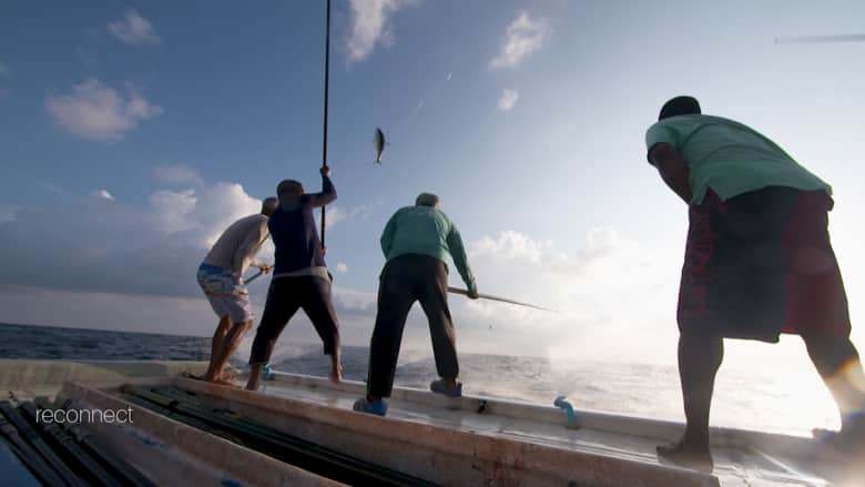يصطادون كل سمكة على حدة.. شاهد كيف يتم الصيد التقليدي في جزر المالديف
