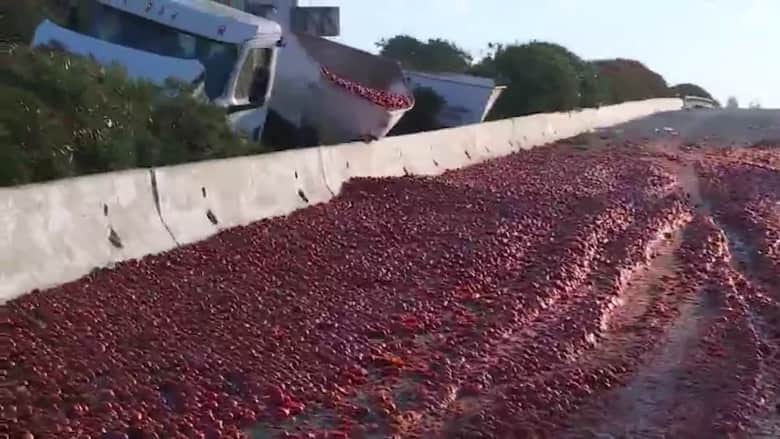 شاهد.. الآلاف من الطماطم تتسرب على الطريق بعد حادث غريب