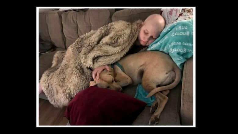 كلب ساعد فتاة على محاربة السرطان والتغلب عليه