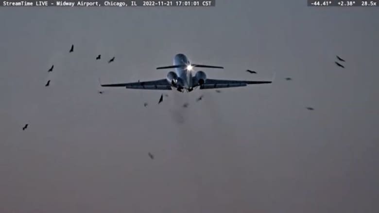 شاهد .. كاميرا ترصد لحظة اصطدام طائرة عسكرية أمريكية بسرب من الطيور