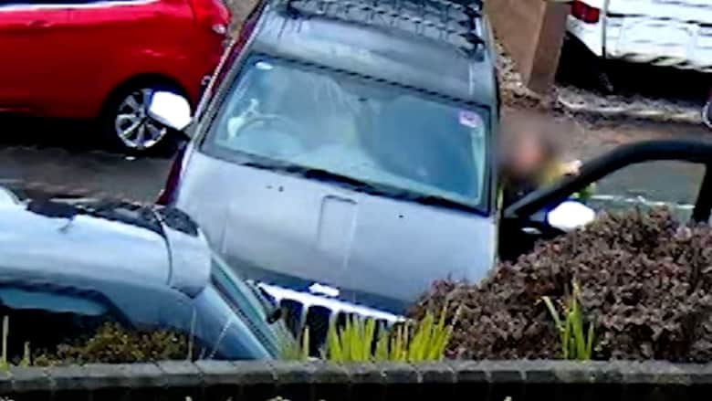 فيديو يظهر كلبا يقود سيارة رباعية الدفع ويتسبب في حادث سير.. شاهد ما حدث