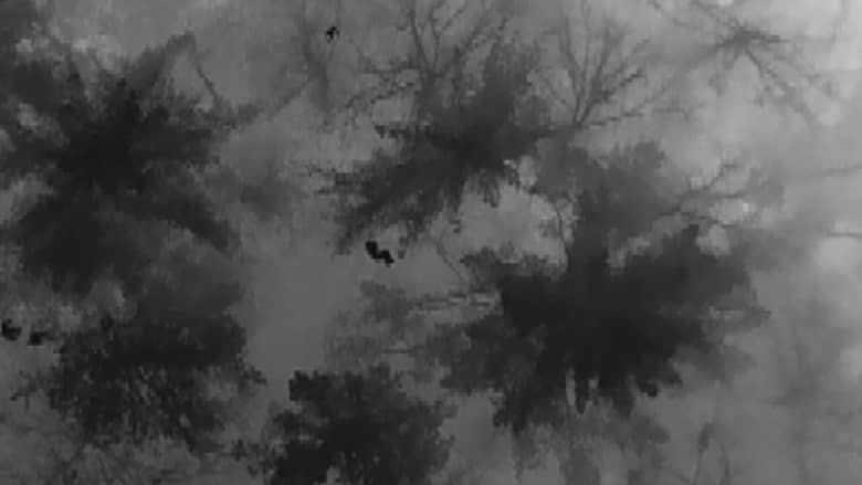 رصدته من حرارة جسده.. شاهد كيف عثرت طائرة "درون" على مراهق مفقود في غابة