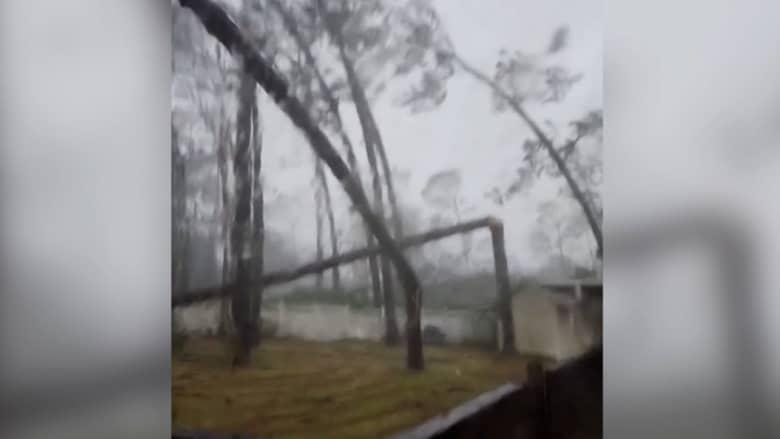 طفلتها صرخت رعبًا.. سيدة توثق لحظة سقوط شجرة على منزلها بسبب إعصار إيداليا المدمر