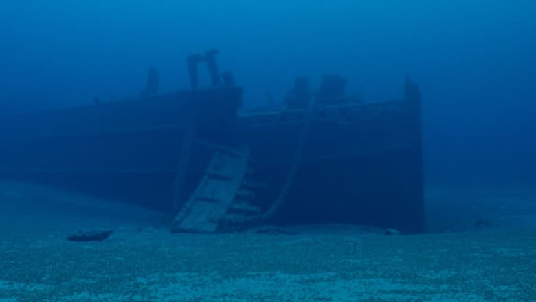 مخلوق بحري يكشف عن حطام سفينة غارقة اختفت قبل قرابة 130 عامًا.. شاهد كيف تبدو