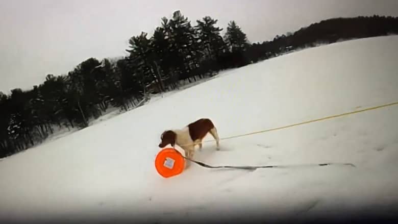شاهد كلب ينقذ صاحبه بعد أن سقط في بحيرة جليدية