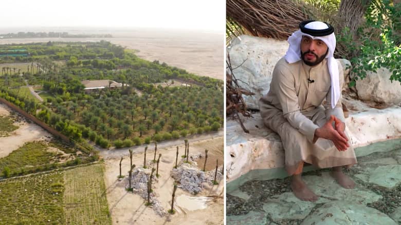 واحة وسط الصحراء.. مزرعة تقرّب الناس من الطبيعة في قطر