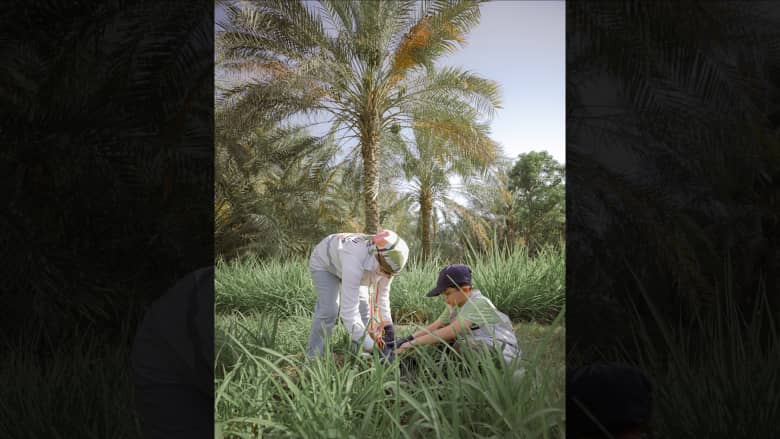 واحة بين الجبال القاحلة.. كيف تزدهر الطبيعة مع البشر في قرية إماراتية تاريخية؟