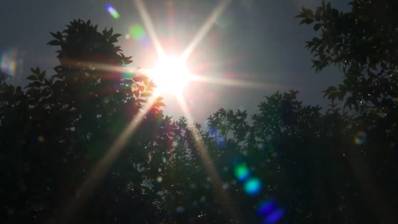 موجة حر تضرب أجزاء من العالم.. كيف نتجنب خطر ضربة الشمس؟