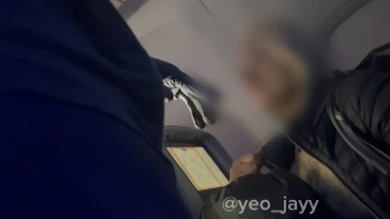 فيديو يوثق مواجهة مضيفة طيران لراكبة متسللة بعد رحلة من نيويورك إلى باريس