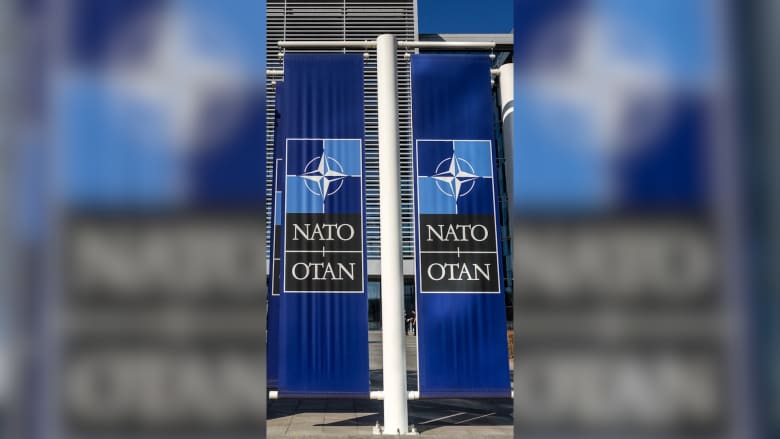 منها عدم الانضمام للناتو.. ما الذي يتضمنه مقترح ترامب للسلام في أوكرانيا؟