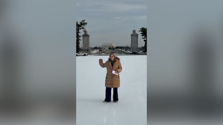 رغم المخاوف.. ترامب يمضي قدماً في بناء قوس بطول 250 قدماً